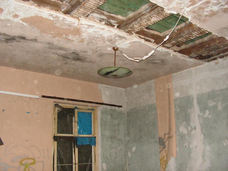 PICT0242.JPG