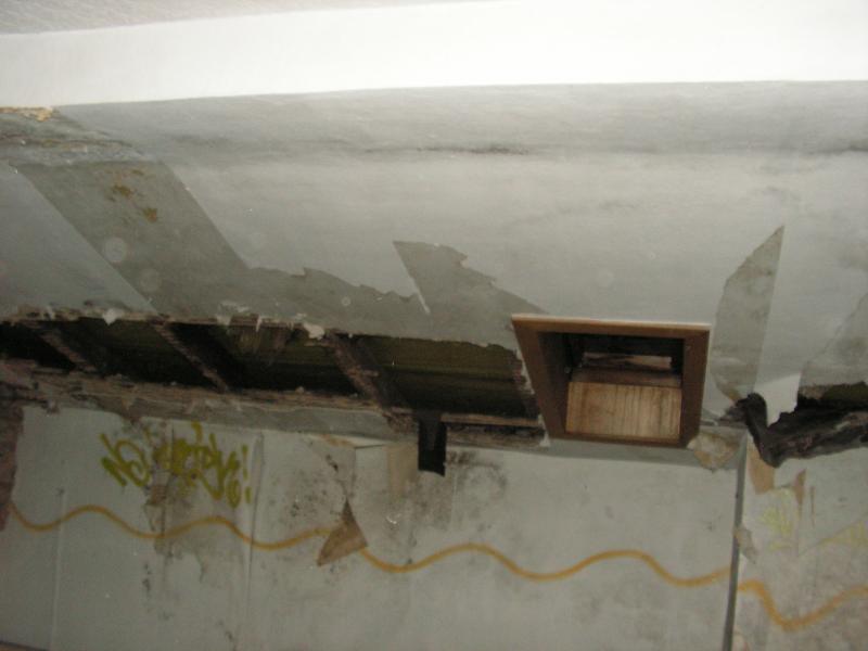 PICT0259.JPG