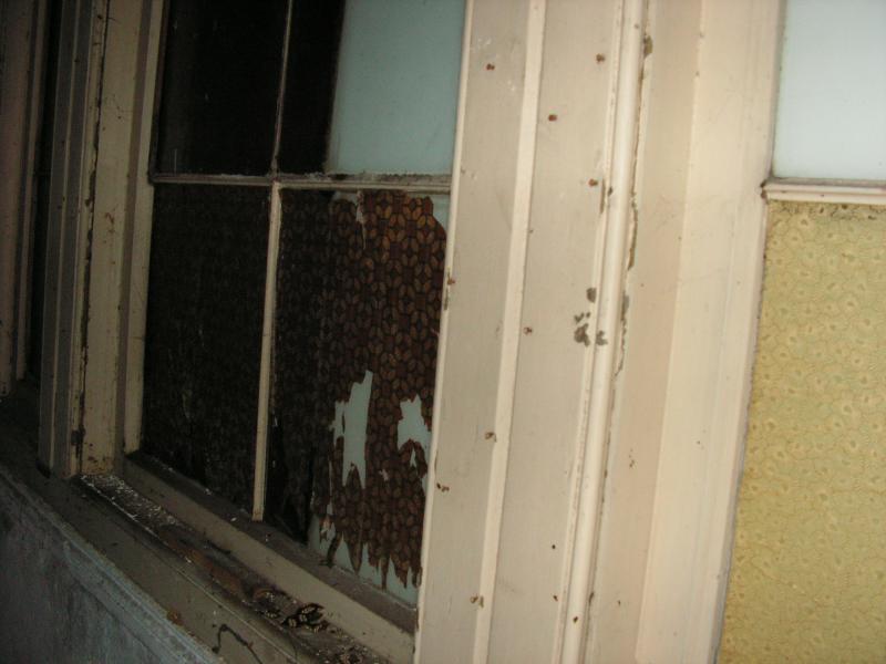 PICT0262.JPG