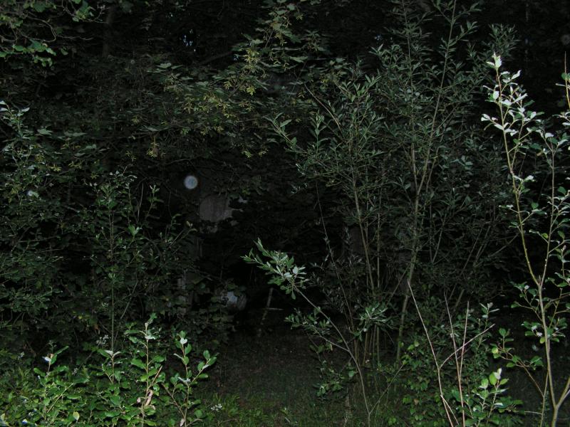 PICT0276.JPG