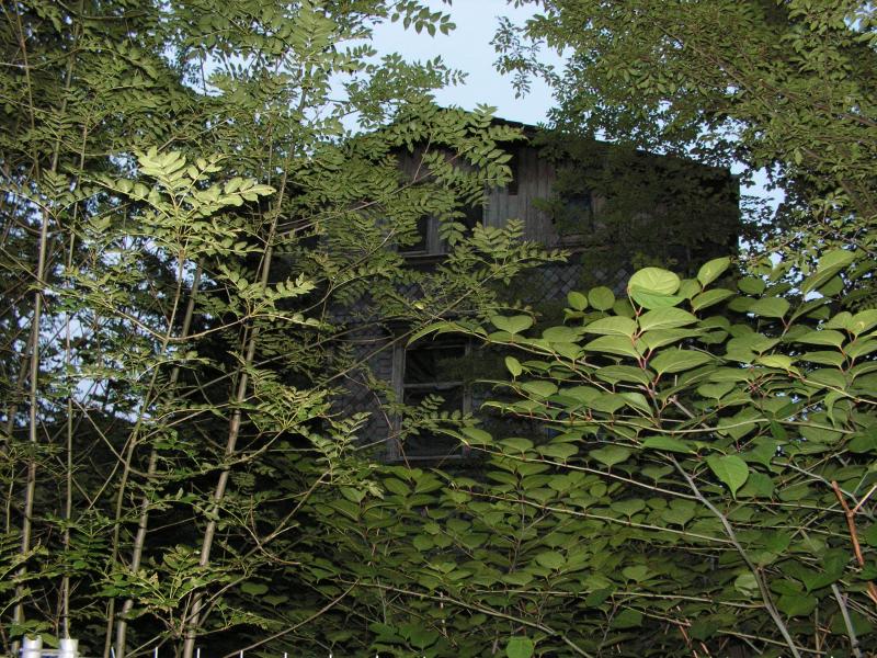 PICT0278.JPG