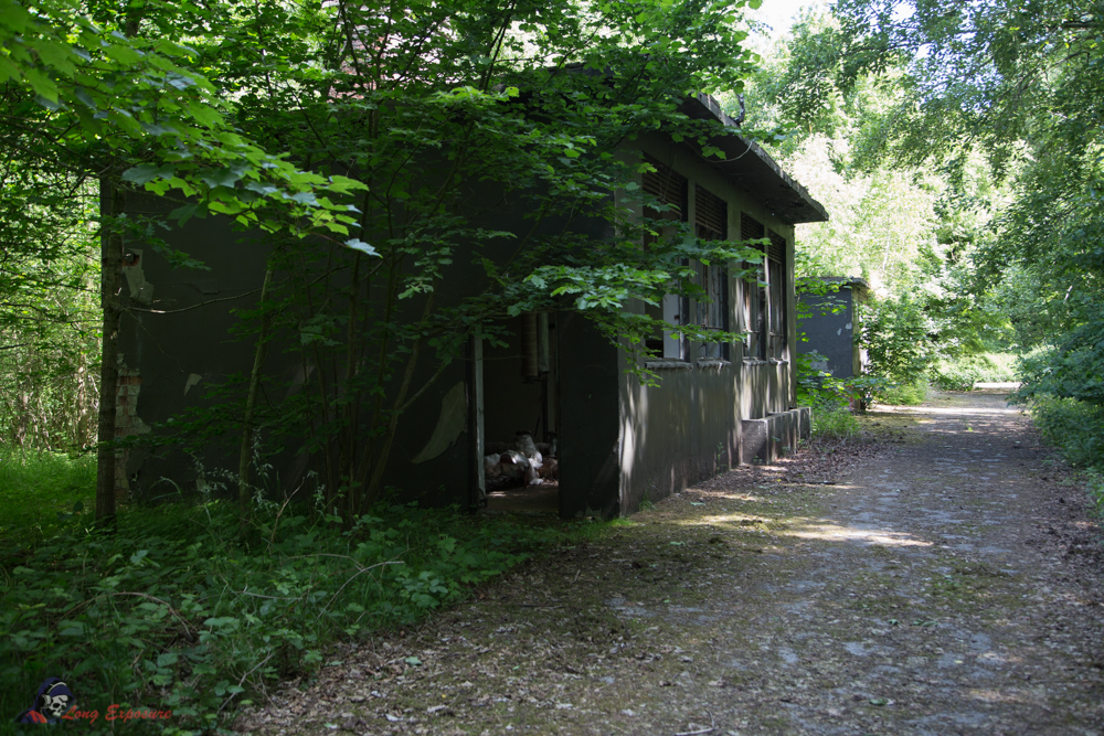 QD0A0485.jpg