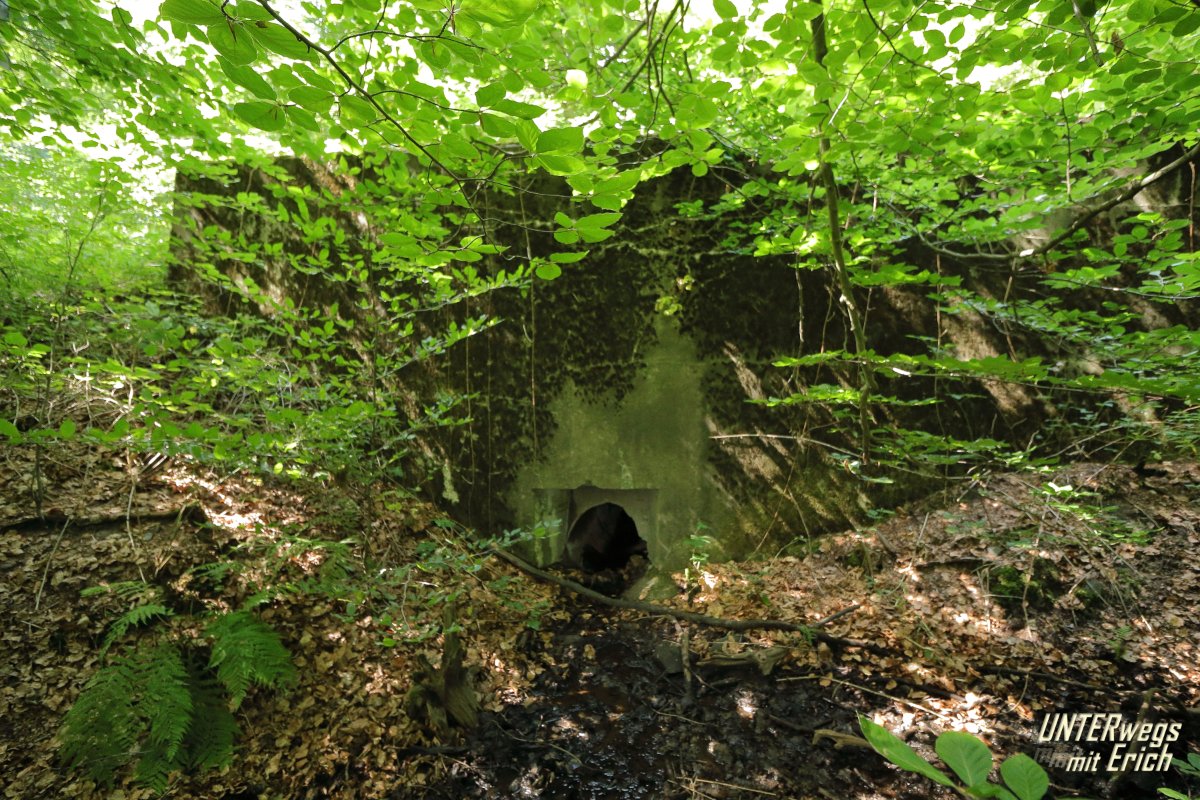 Rennweg_KöFo_F05-202507.JPG