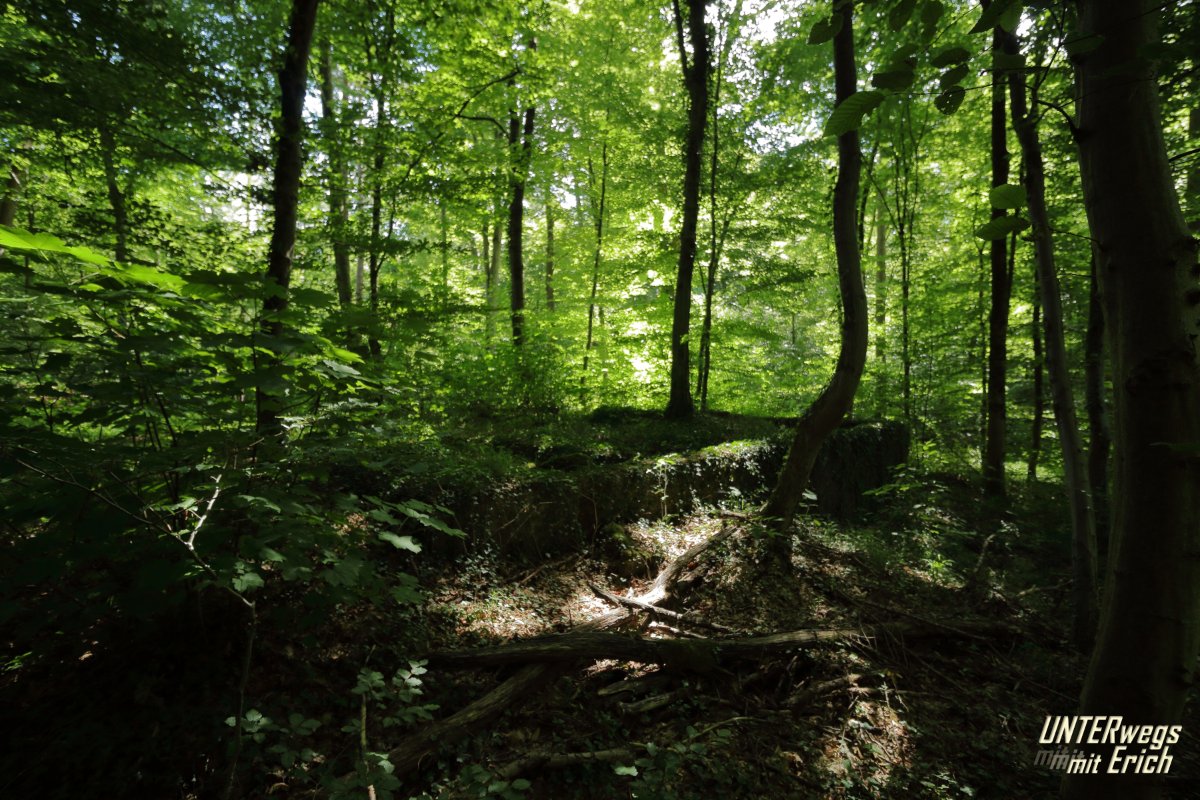 Rennweg_KöFo_F07-202507.JPG