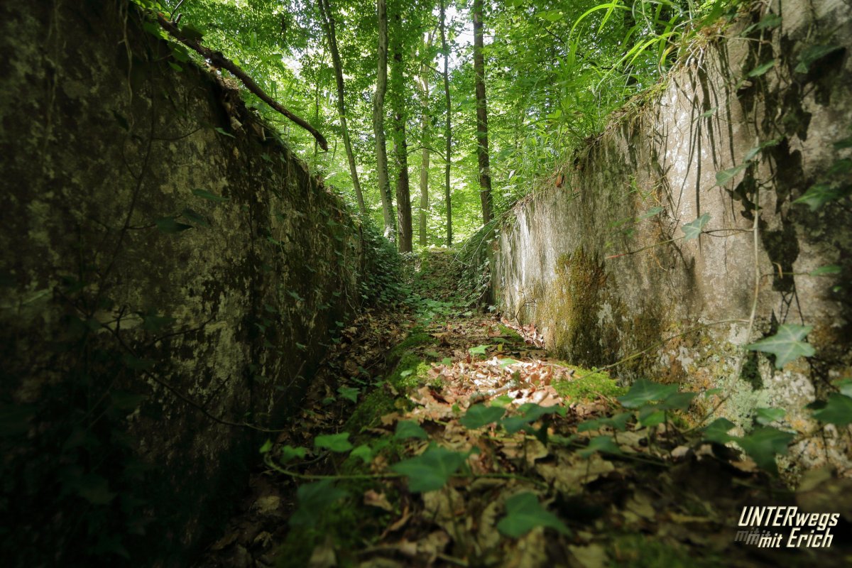 Rennweg_KöFo_F10-202507.JPG