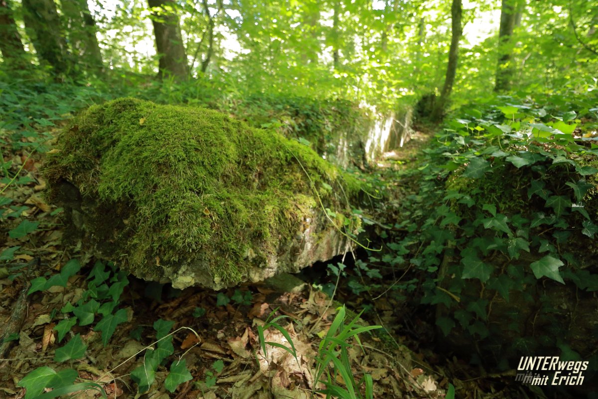 Rennweg_KöFo_F11-202507.JPG