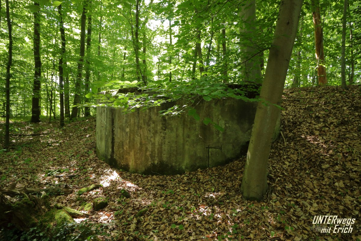Rennweg_KöFo_F12-202507.JPG