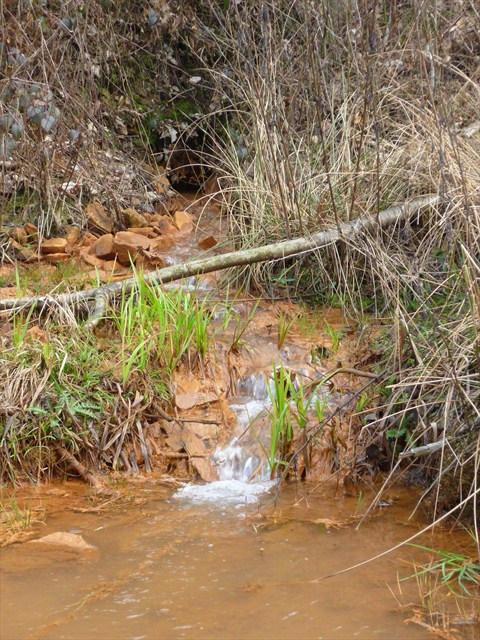 rostiges Wasser.jpg