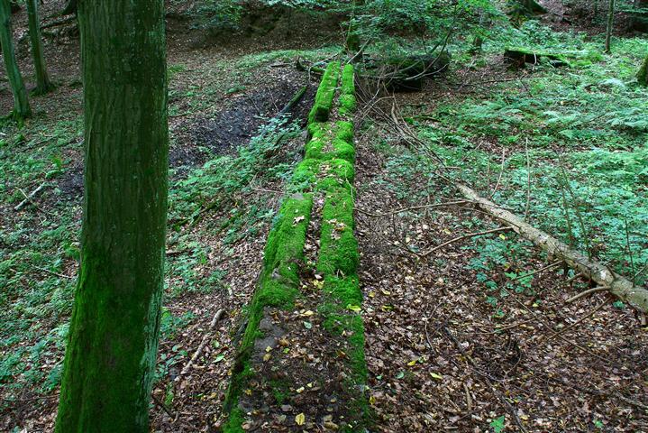 Schachtanlage im Wald25 (Small).JPG