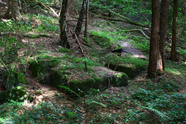 Schachtanlage im Wald5 (Small).JPG