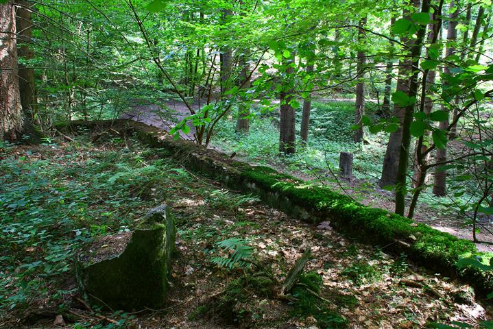 Schachtanlage im Wald6 (Small).JPG