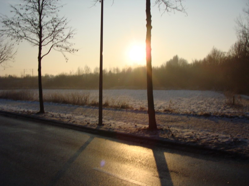 Sonnenimpressionen23.12.2009 - 14.jpg