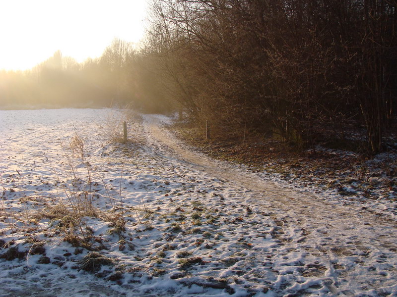 Sonnenimpressionen23.12.2009 - 15.jpg