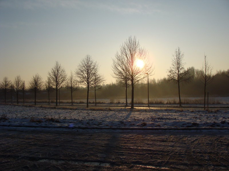 Sonnenimpressionen23.12.2009 - 30.jpg