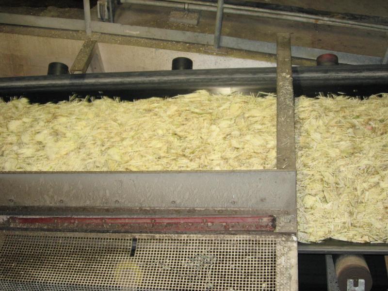 Südzucker_Offenau (76).JPG