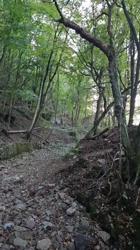 VideoCapture_20251002-220054.jpg