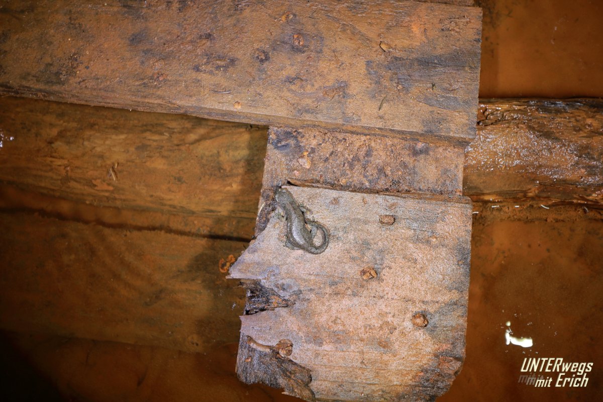 Wasser-Bu_Jägerhaus_F14-202505.JPG