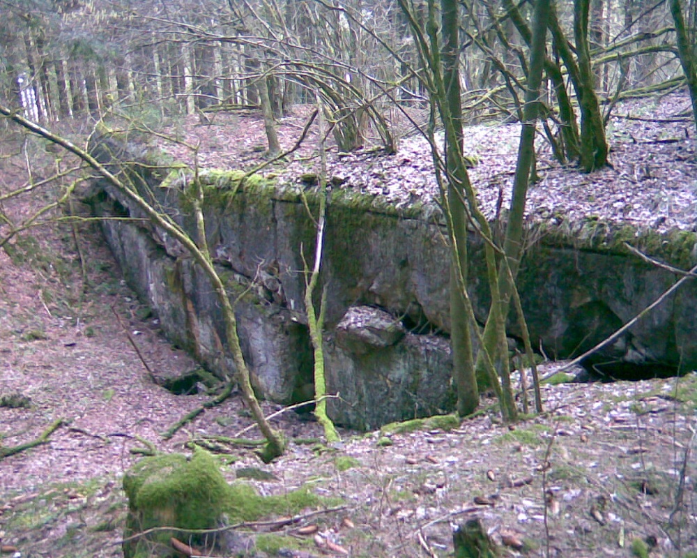 ww Kehr Auf dem Gericht 006.jpg