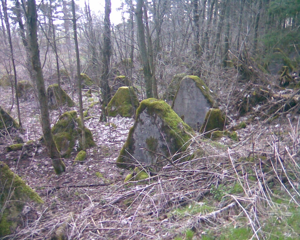 ww Kerr Höcker 004.jpg