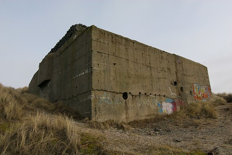 Zanddijk03[1].jpg