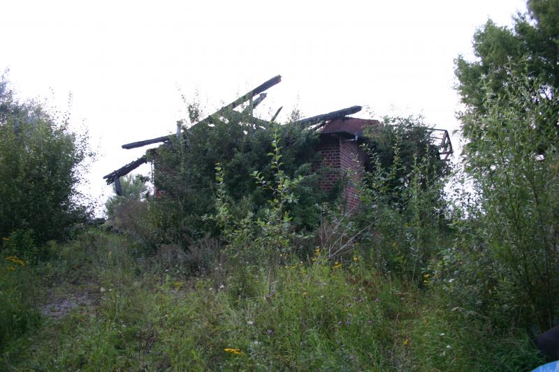 zwischen Neustadt-Grömitz 2011(4).JPG